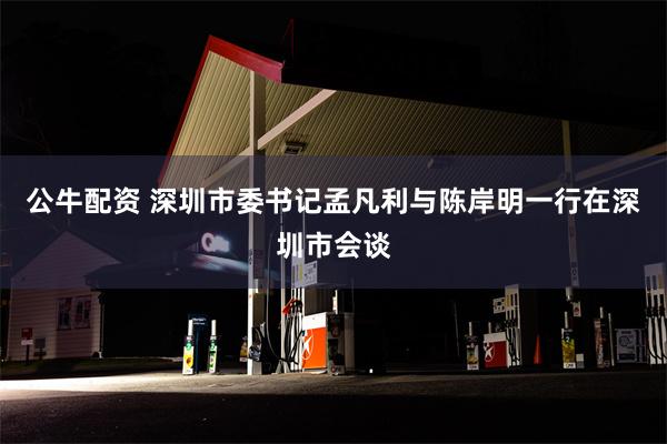 公牛配资 深圳市委书记孟凡利与陈岸明一行在深圳市会谈