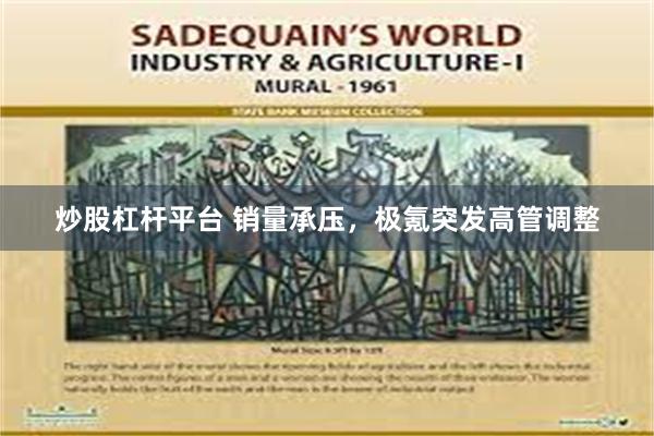 炒股杠杆平台 销量承压，极氪突发高管调整