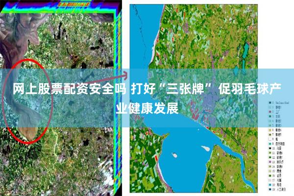 网上股票配资安全吗 打好“三张牌” 促羽毛球产业健康发展