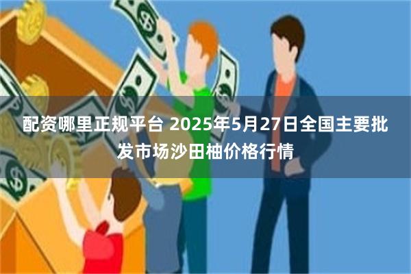配资哪里正规平台 2025年5月27日全国主要批发市场沙田柚价格行情