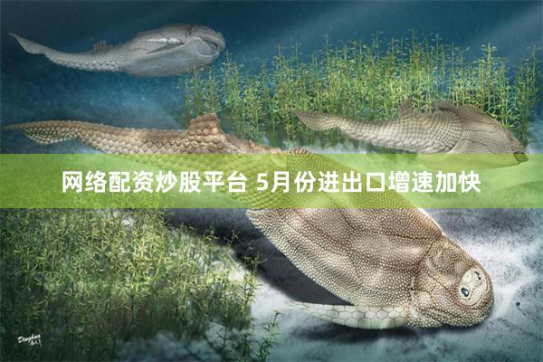 网络配资炒股平台 5月份进出口增速加快