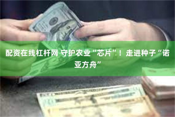 配资在线杠杆网 守护农业“芯片”！走进种子“诺亚方舟”