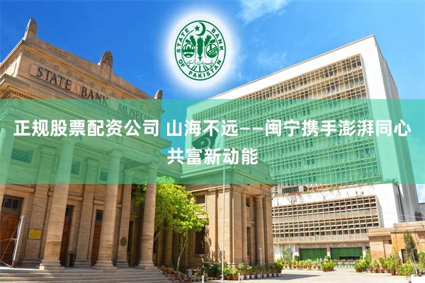 正规股票配资公司 山海不远——闽宁携手澎湃同心共富新动能
